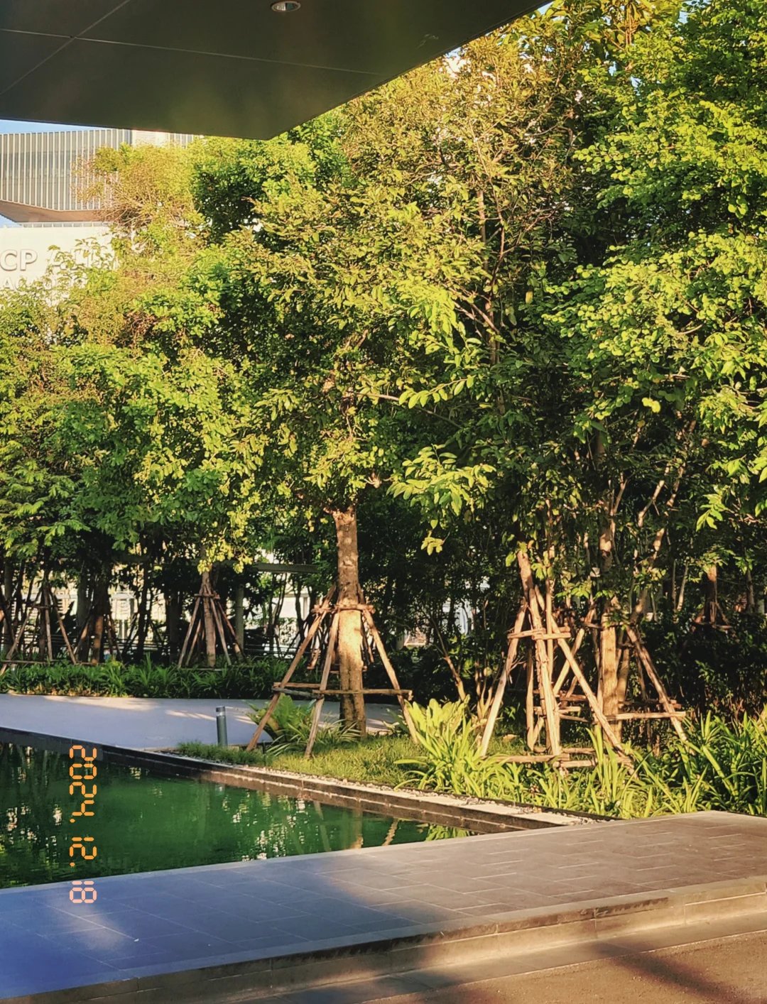 谁懂！随手一拍！安卓也有自己的dazz！！！