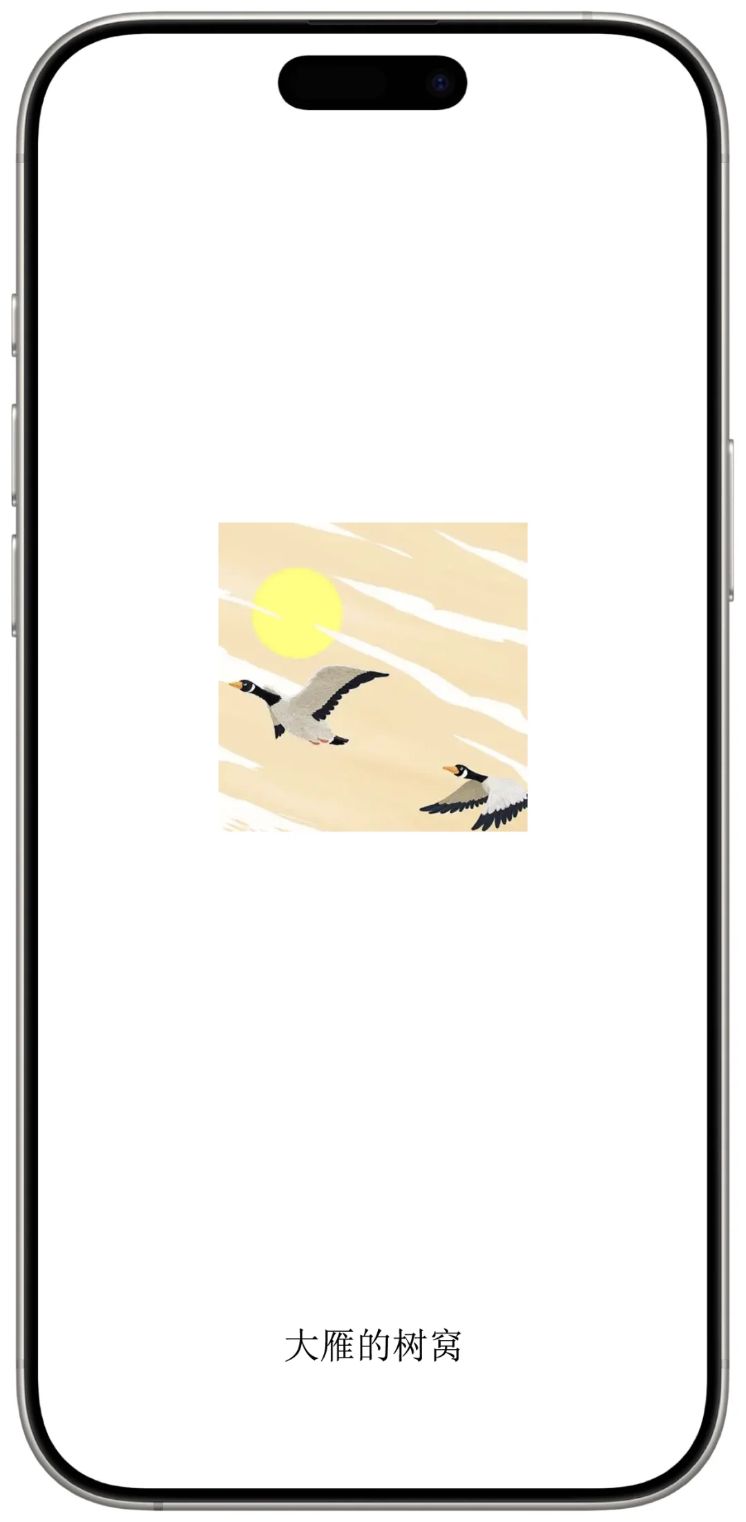 可可（大雁的树窝）