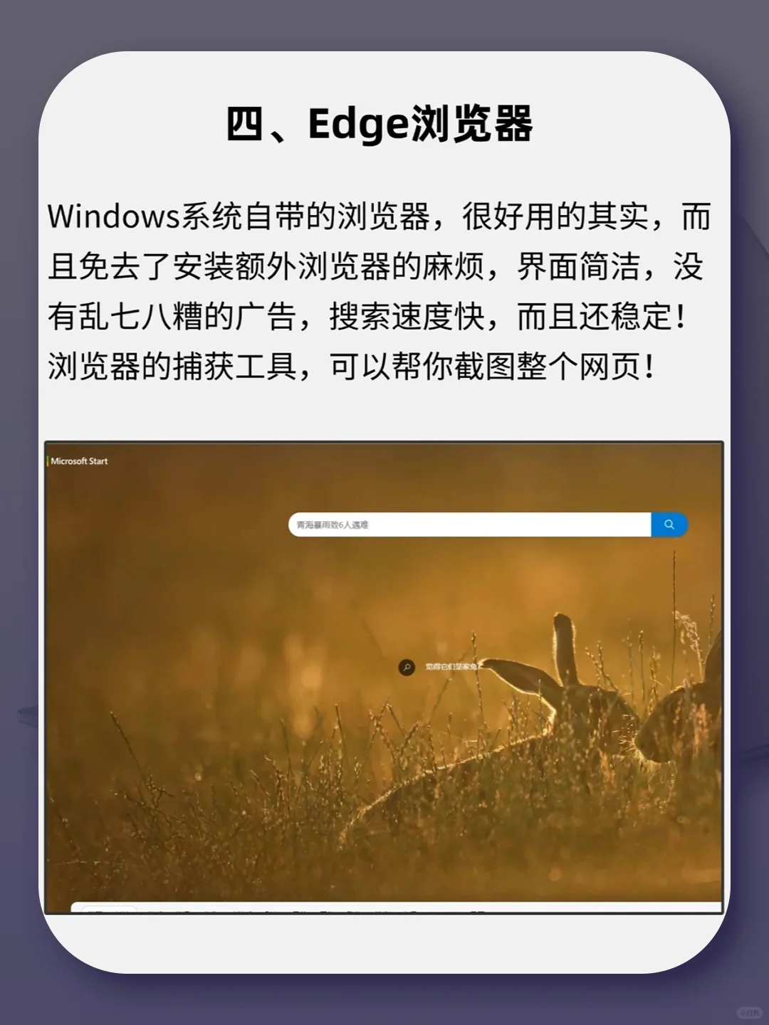 女大学生必备！电脑高效软件合集