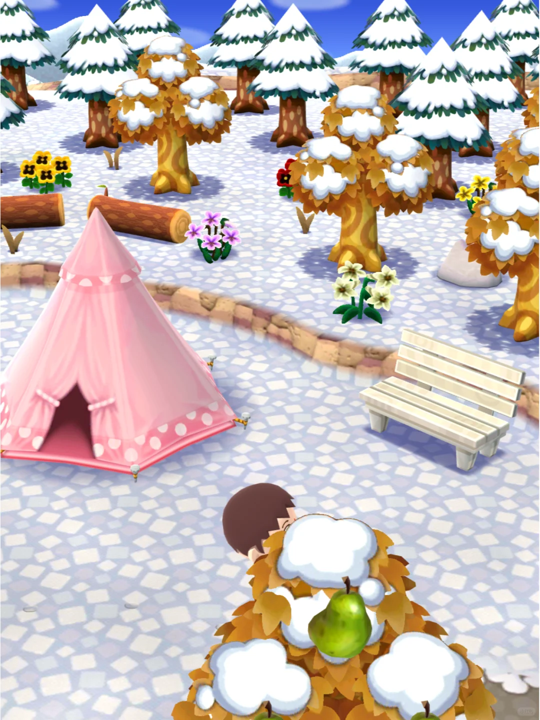 安卓的动森手游终于玩上了❗