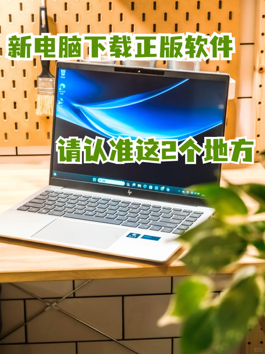 电脑下载正版软件看这里❗️❗️