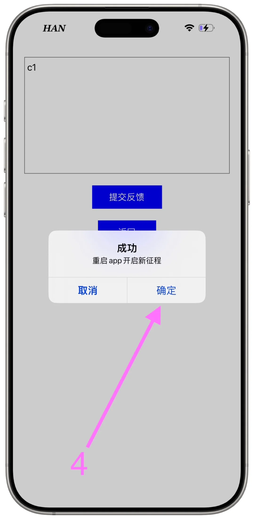 可可（大雁的树窝）