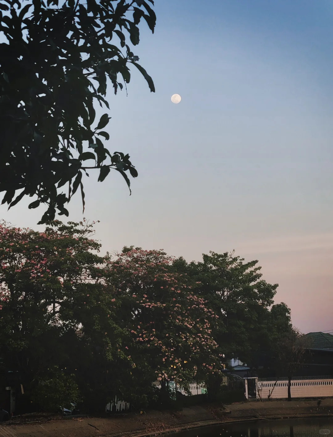 谁懂！随手一拍！安卓也有自己的dazz！！！