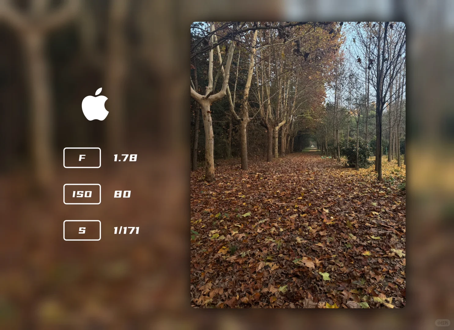 给大家推荐款app