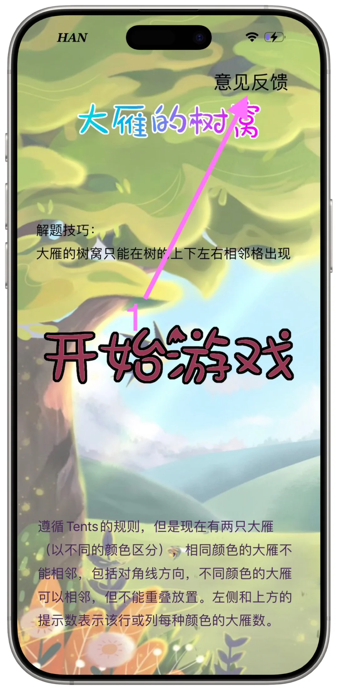 可可（大雁的树窝）