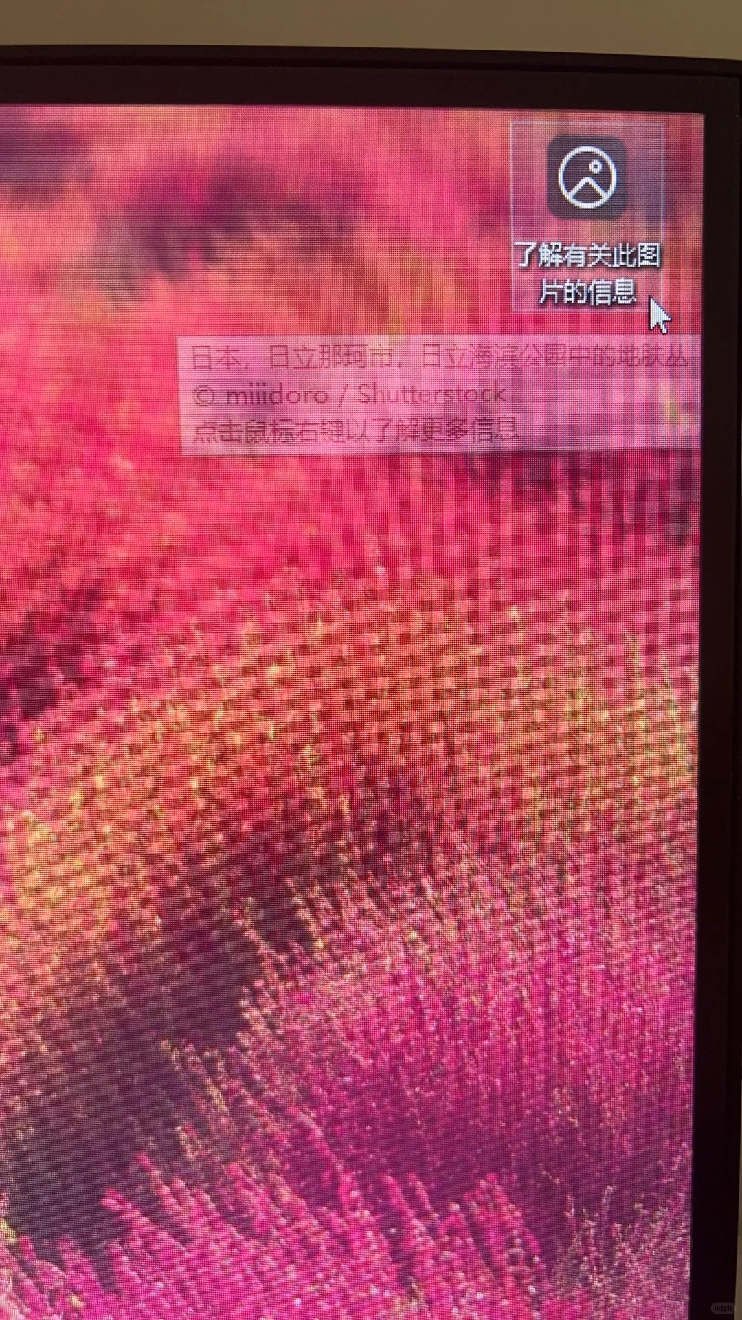 求助电脑卸载流氓软件