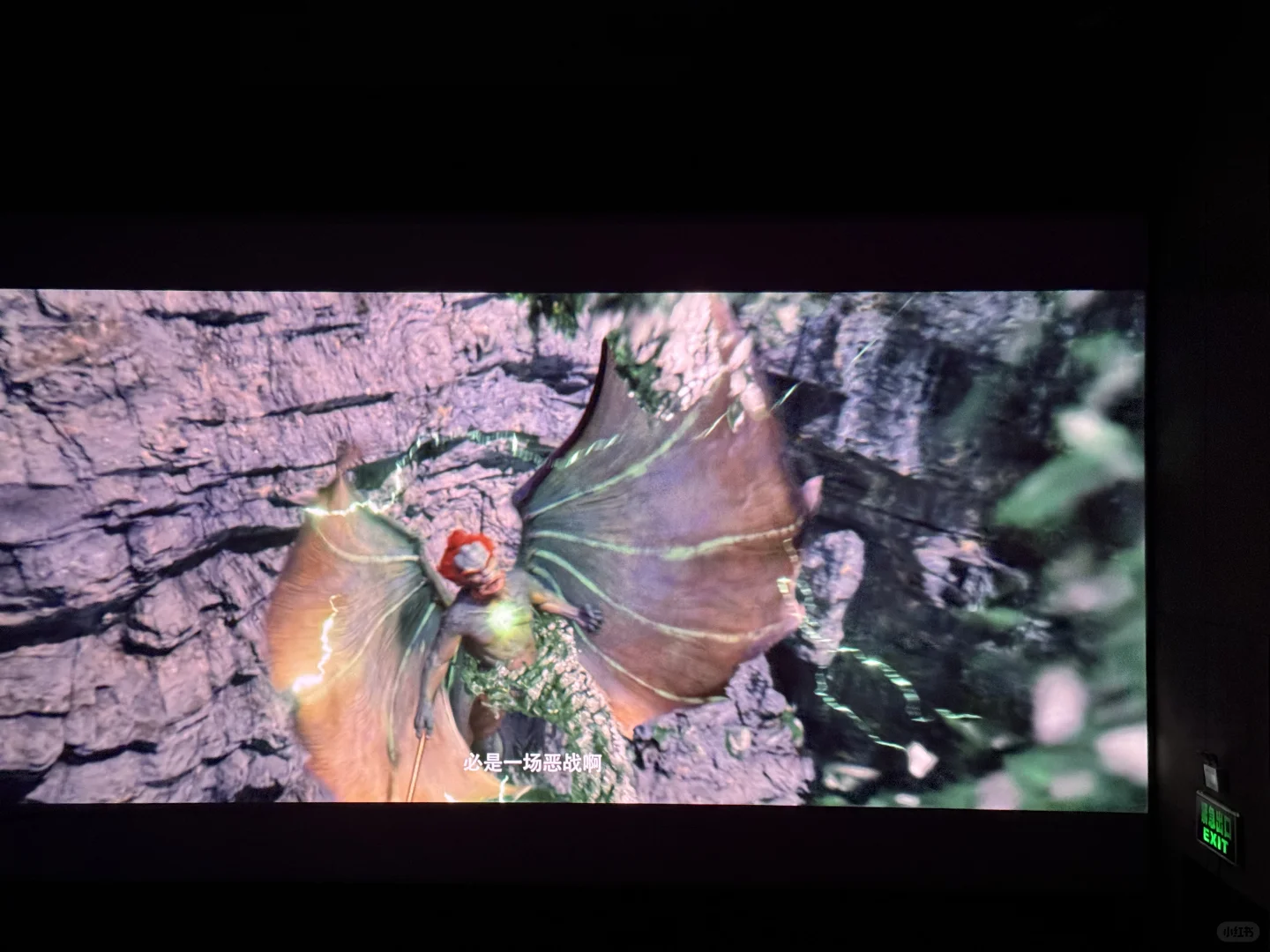 今年春节档电影第一名必须是他