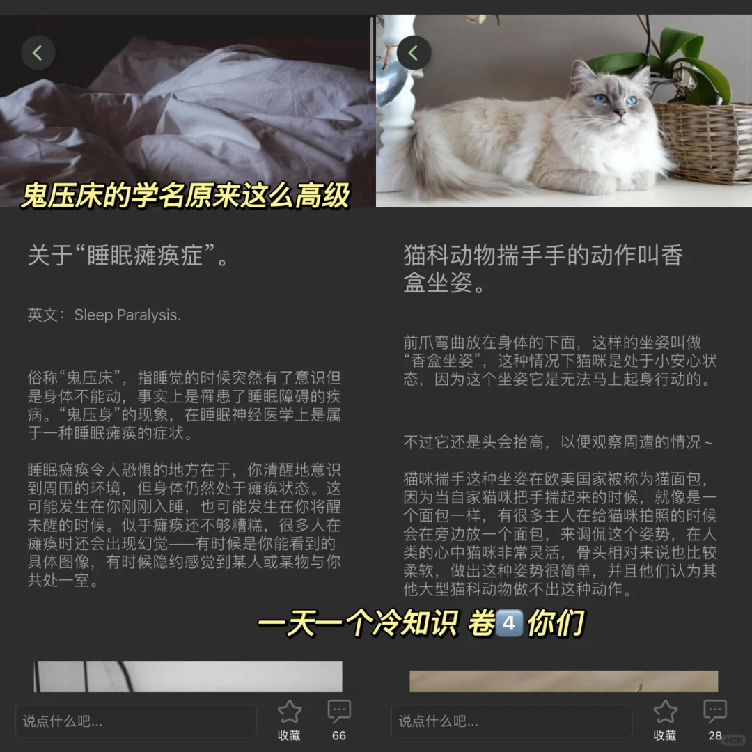 知识类app｜一天一个冷知识、内卷起来👏👏👏