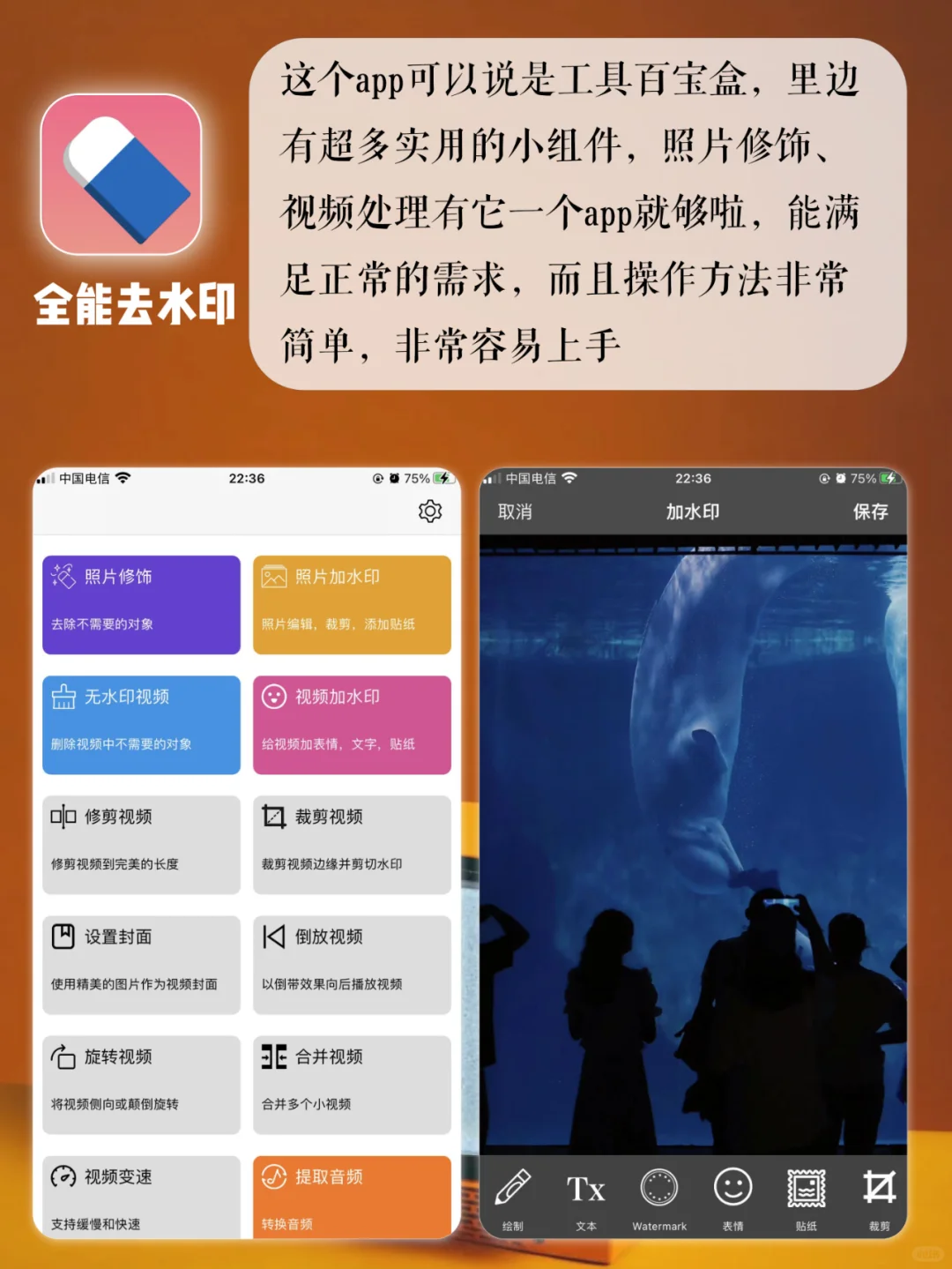 有范儿又有料app👏🏻不分享良心会痛