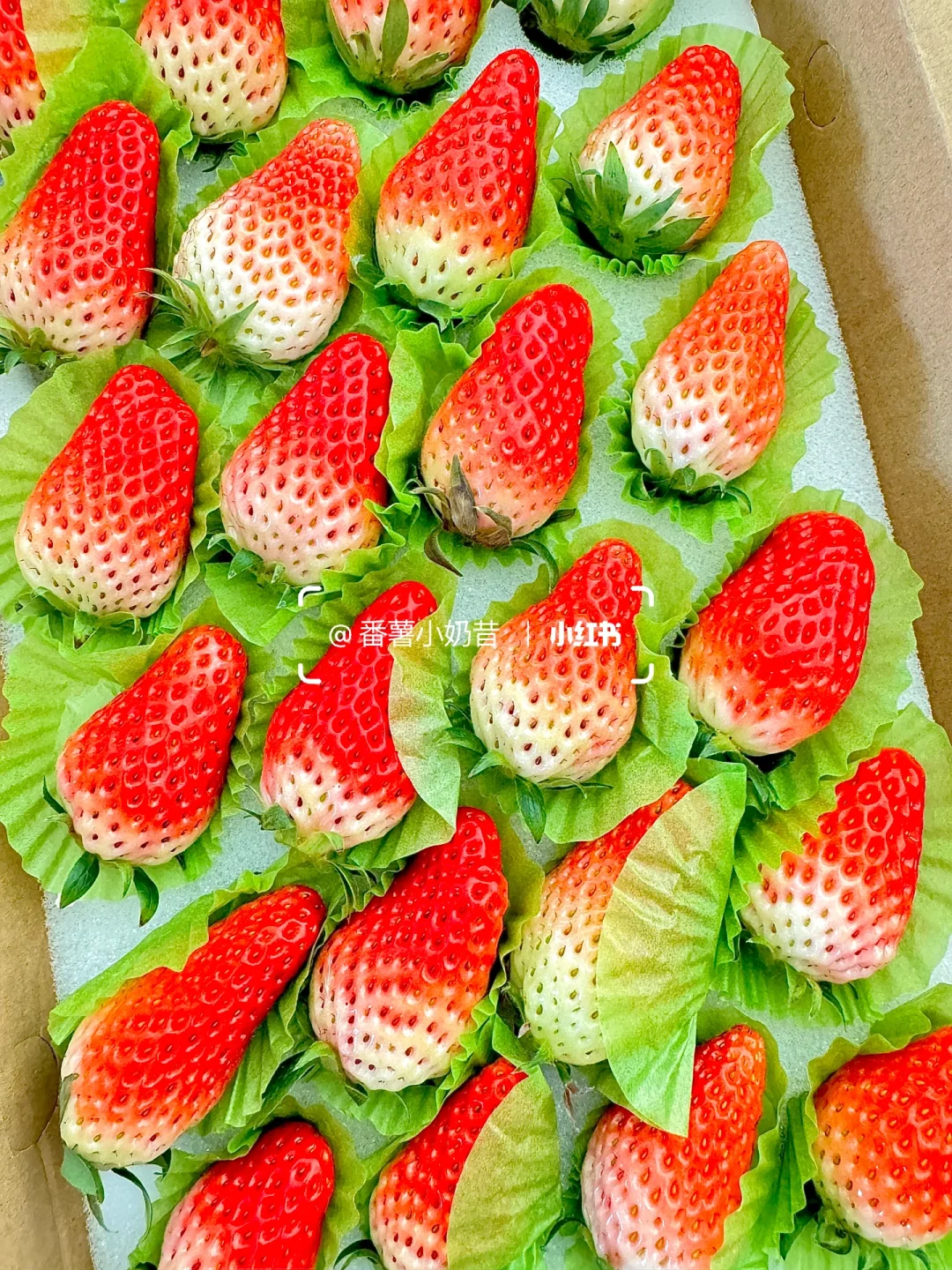 plog｜大年初六看电影，哪吒真嘟很好看❤️‍🔥