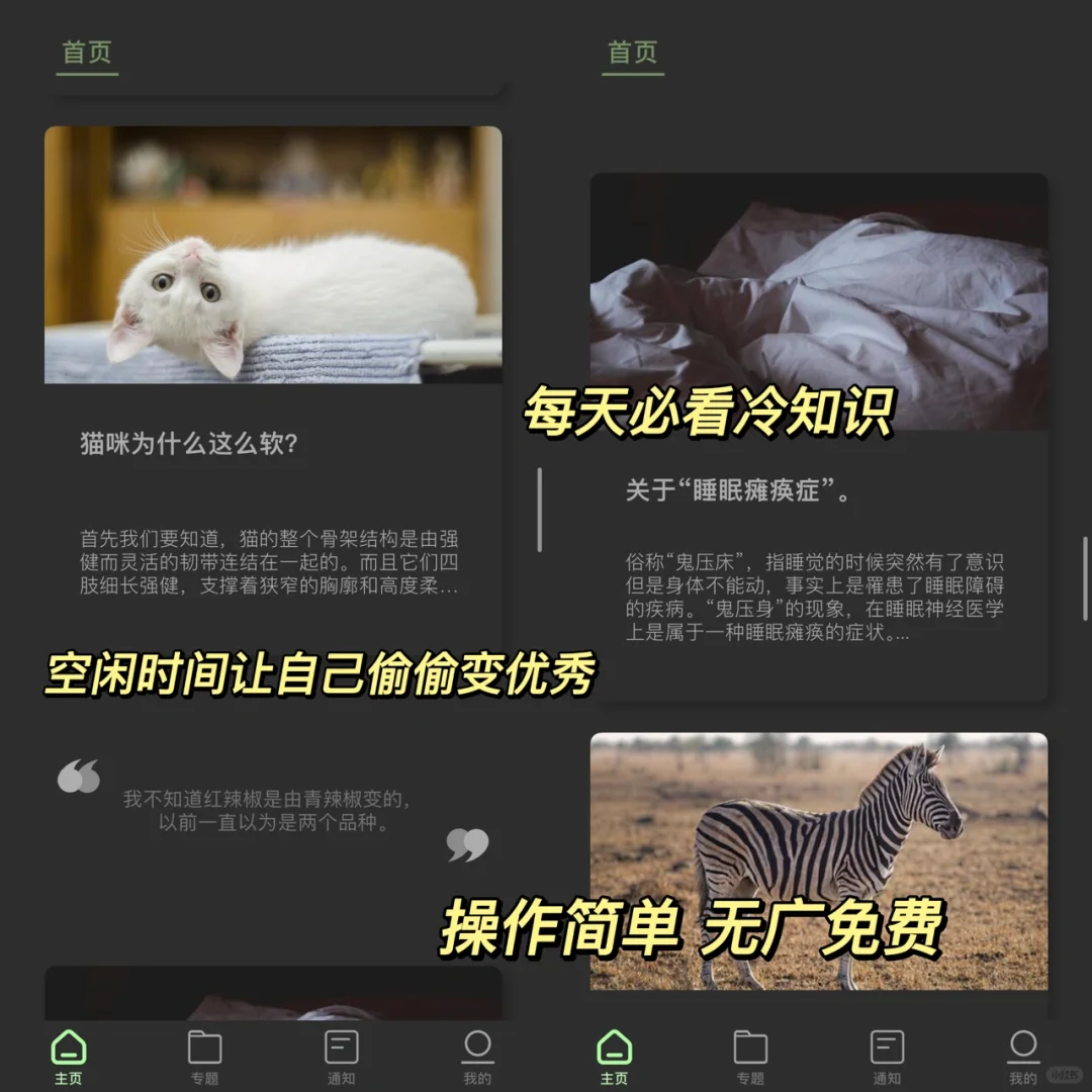 知识类app｜一天一个冷知识、内卷起来👏👏👏