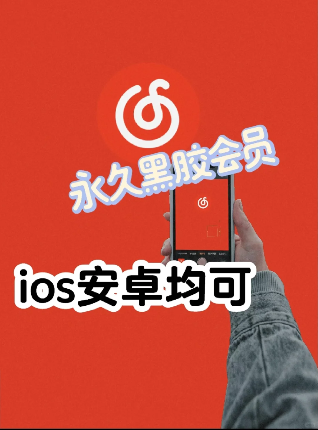 这个永久黑胶我为什么没有早点发现？？