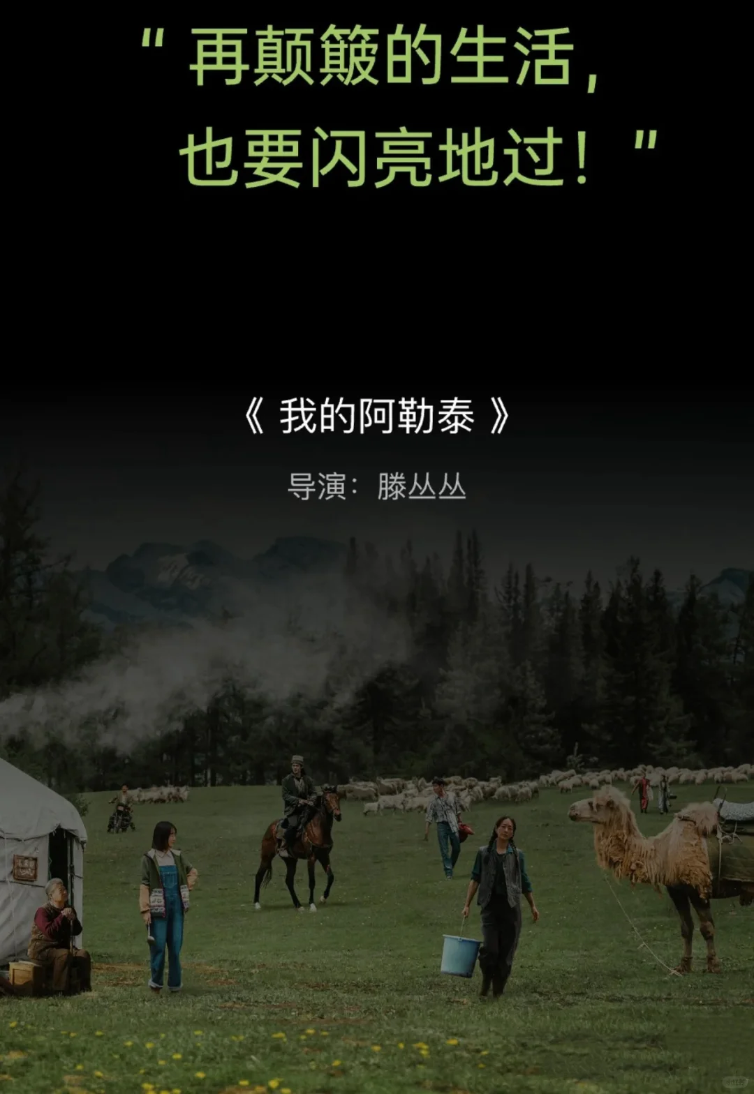 2024 豆瓣年度电影榜单，10 部黑马冷门封神！