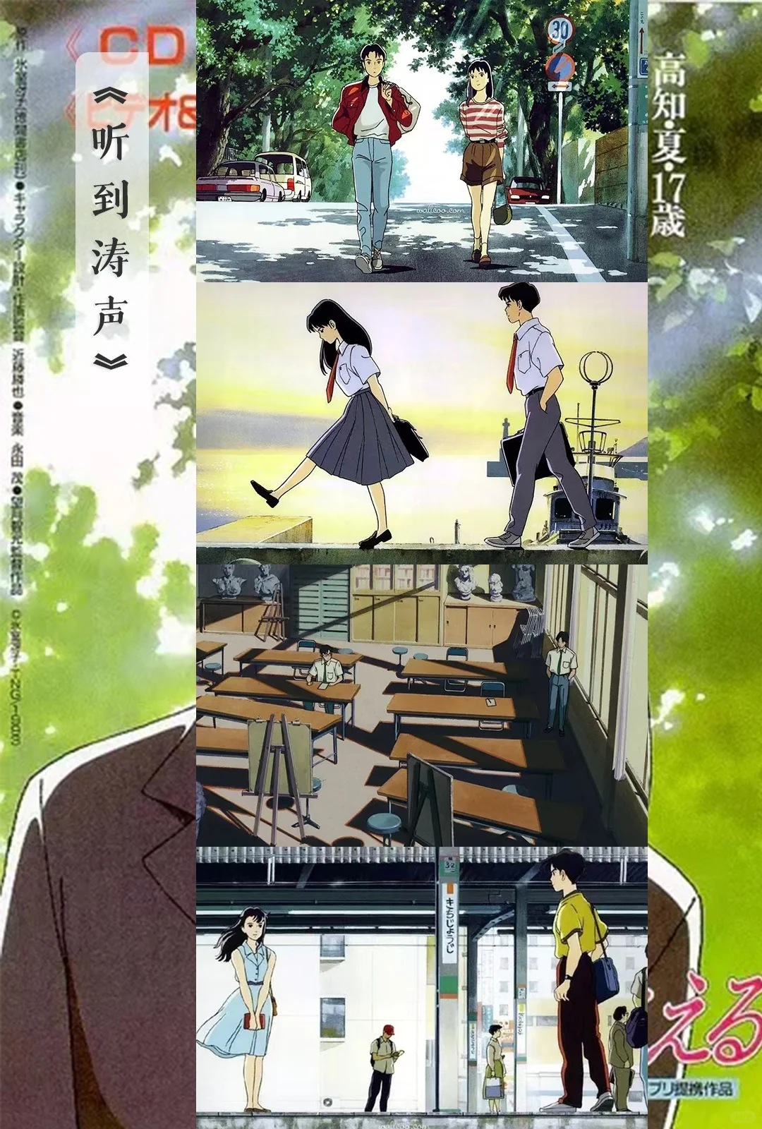 我的年度十佳电影