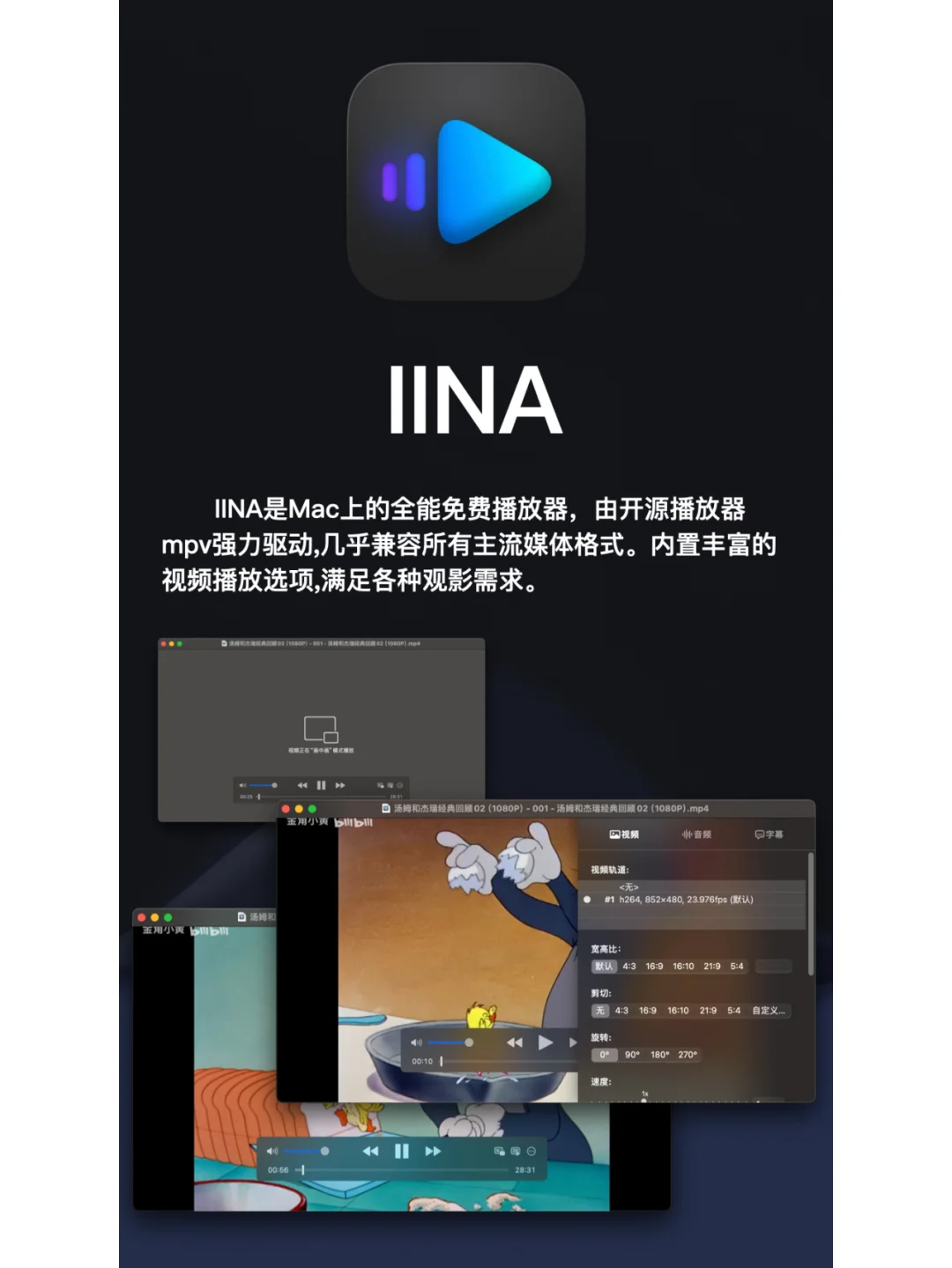 下载好这些APP我只能说——太酷啦！