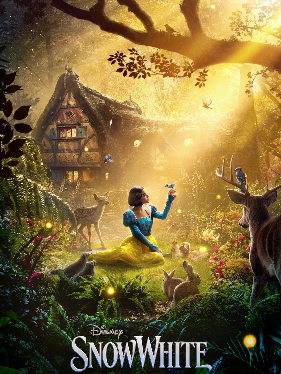 🆘拯救片荒💯6️⃣部真人电影爆款将花落谁家