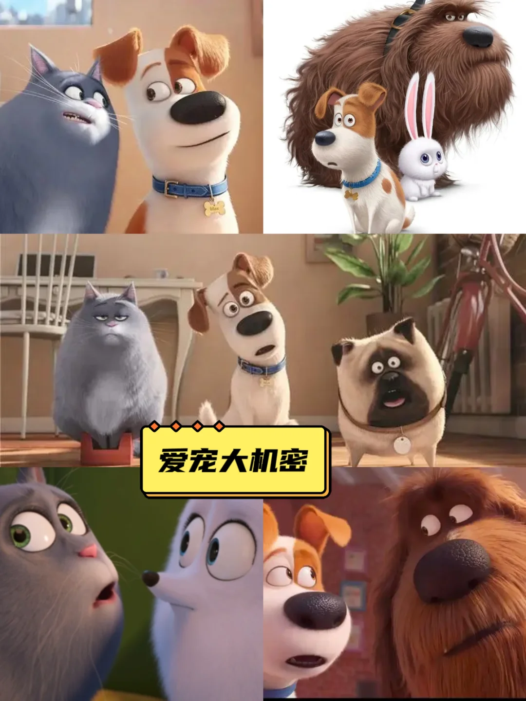 可看一百遍的高质量动画片电影，超治愈！