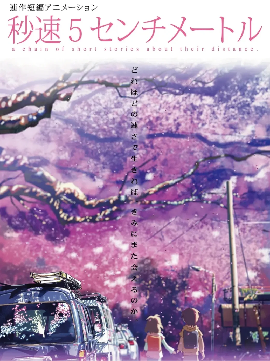 🆘拯救片荒💯6️⃣部真人电影爆款将花落谁家