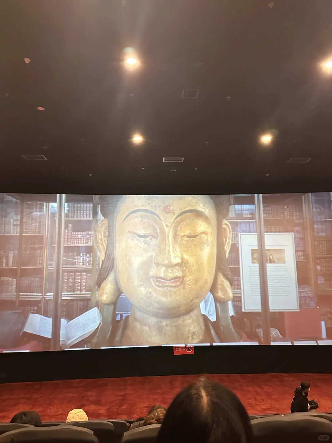 这些电影🎬哪个好看