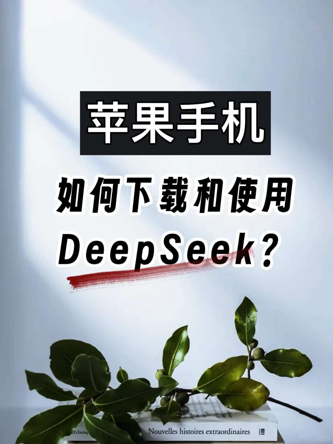 从苹果手机上如何下载使用DeepSeek？