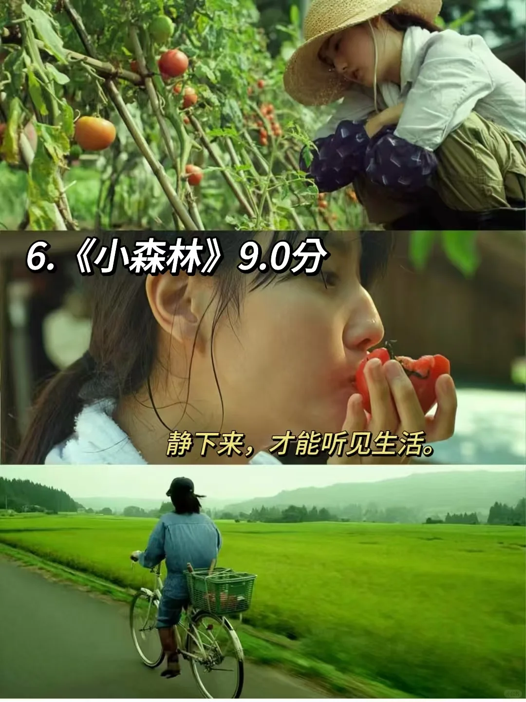 春节宅家刷这10部电影，幸福感拉🈵❗