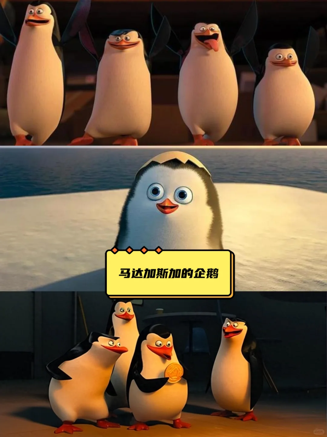 可看一百遍的高质量动画片电影，超治愈！