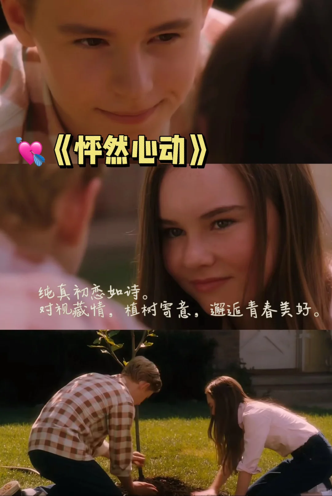 寒假必看电影清单 | 宅家也能体验人生百态