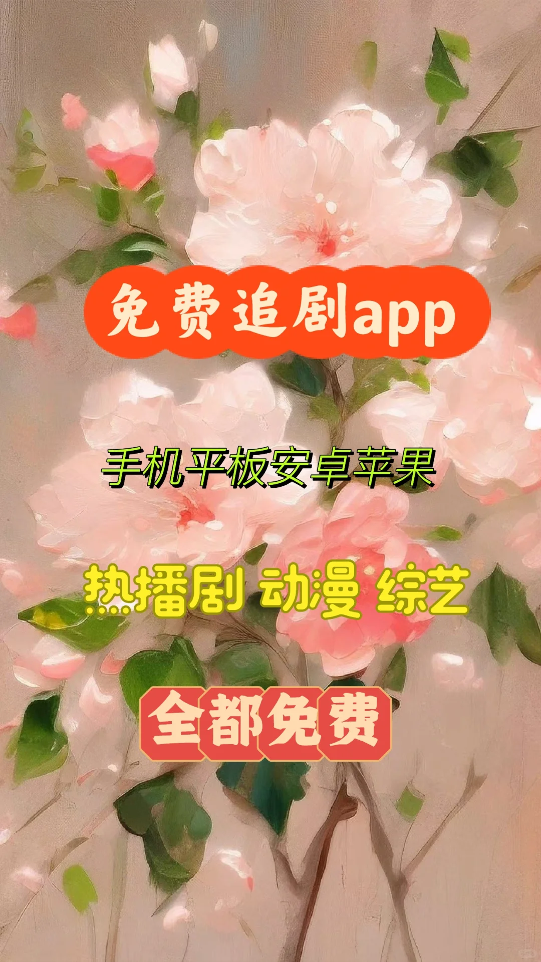 自用的免费追剧app🎀