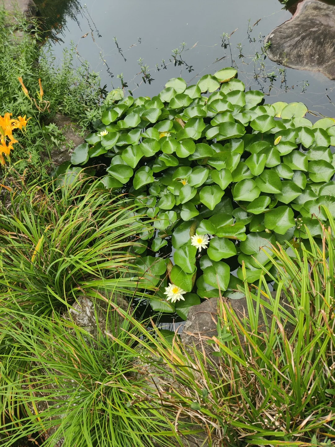 新情况，小心这个社交软件