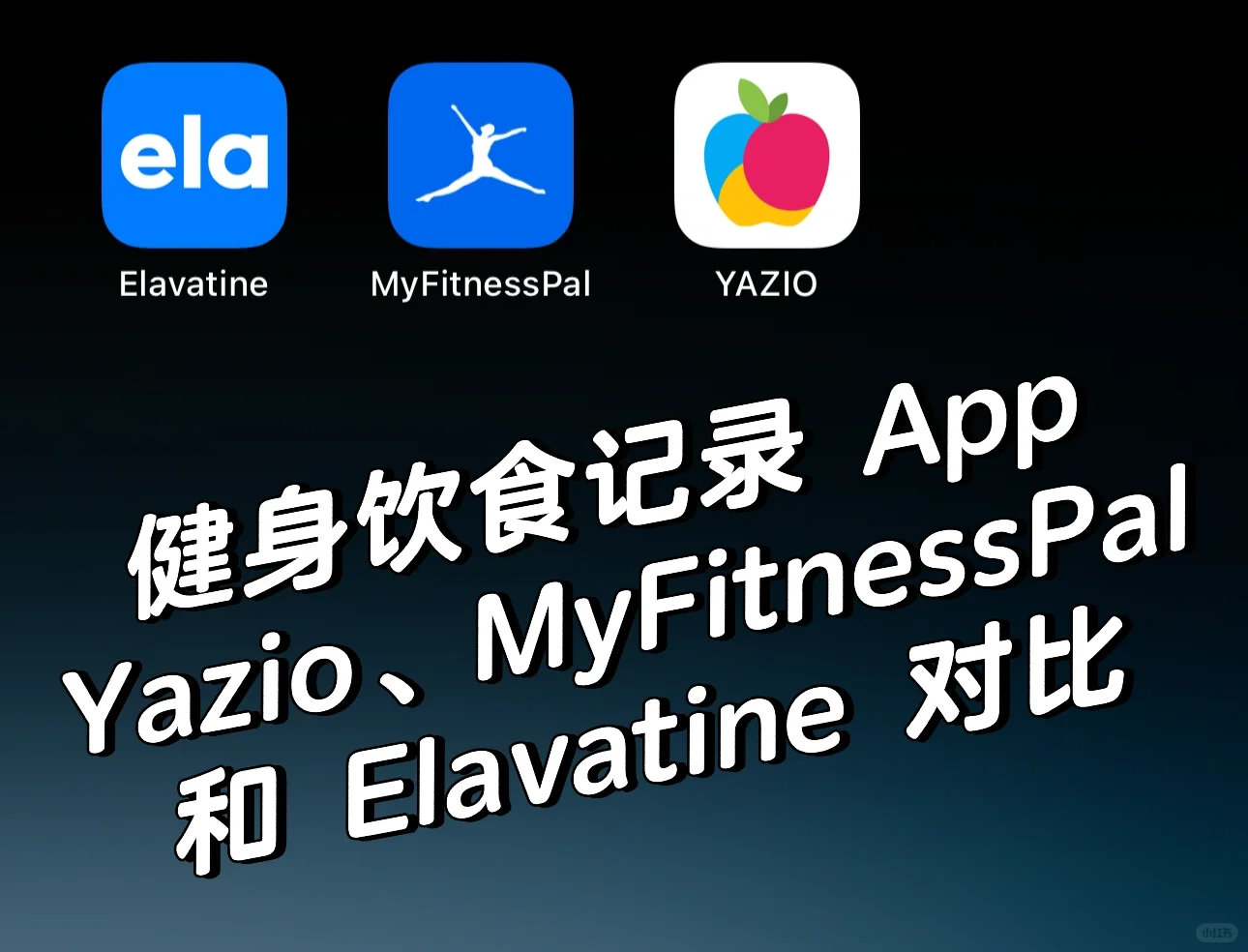 健身饮食记录 App 横向对比