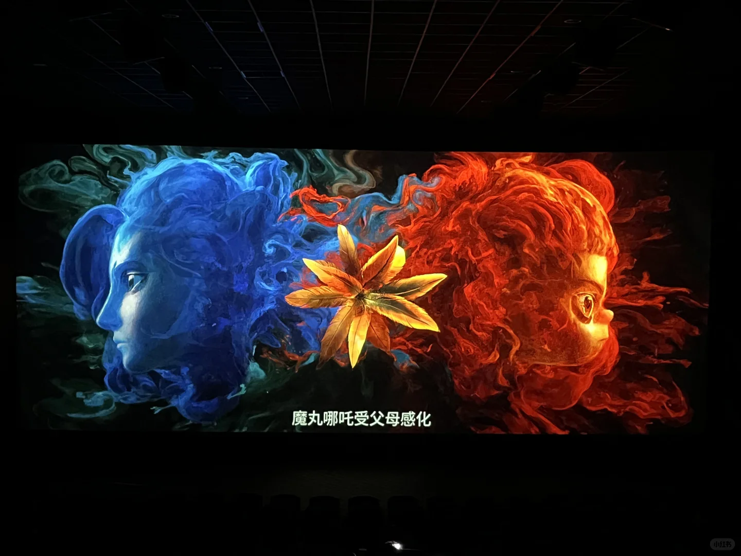 今年看过最好看的一部电影🎞️