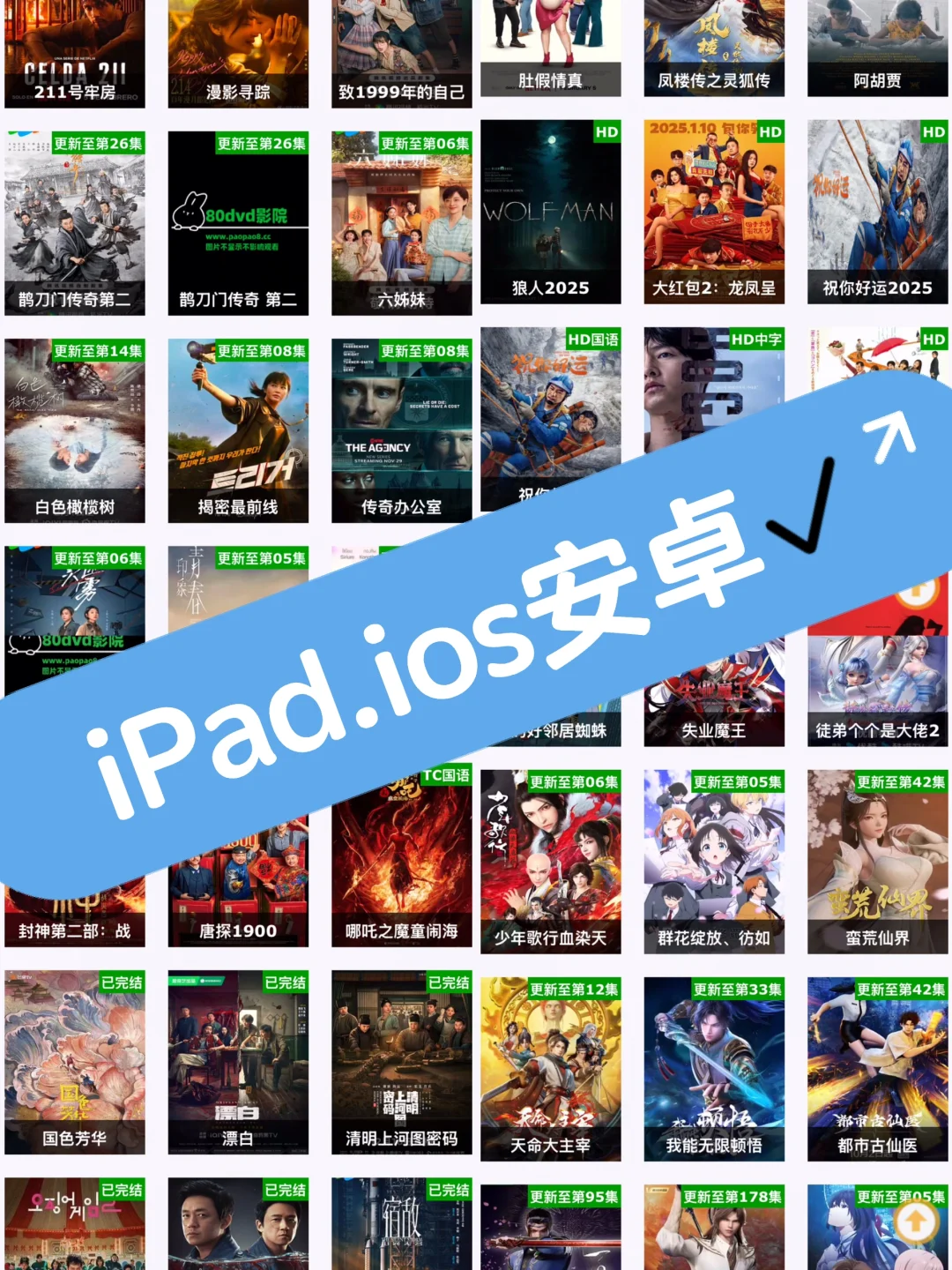 平板追剧ios安卓免费看剧🔥热播