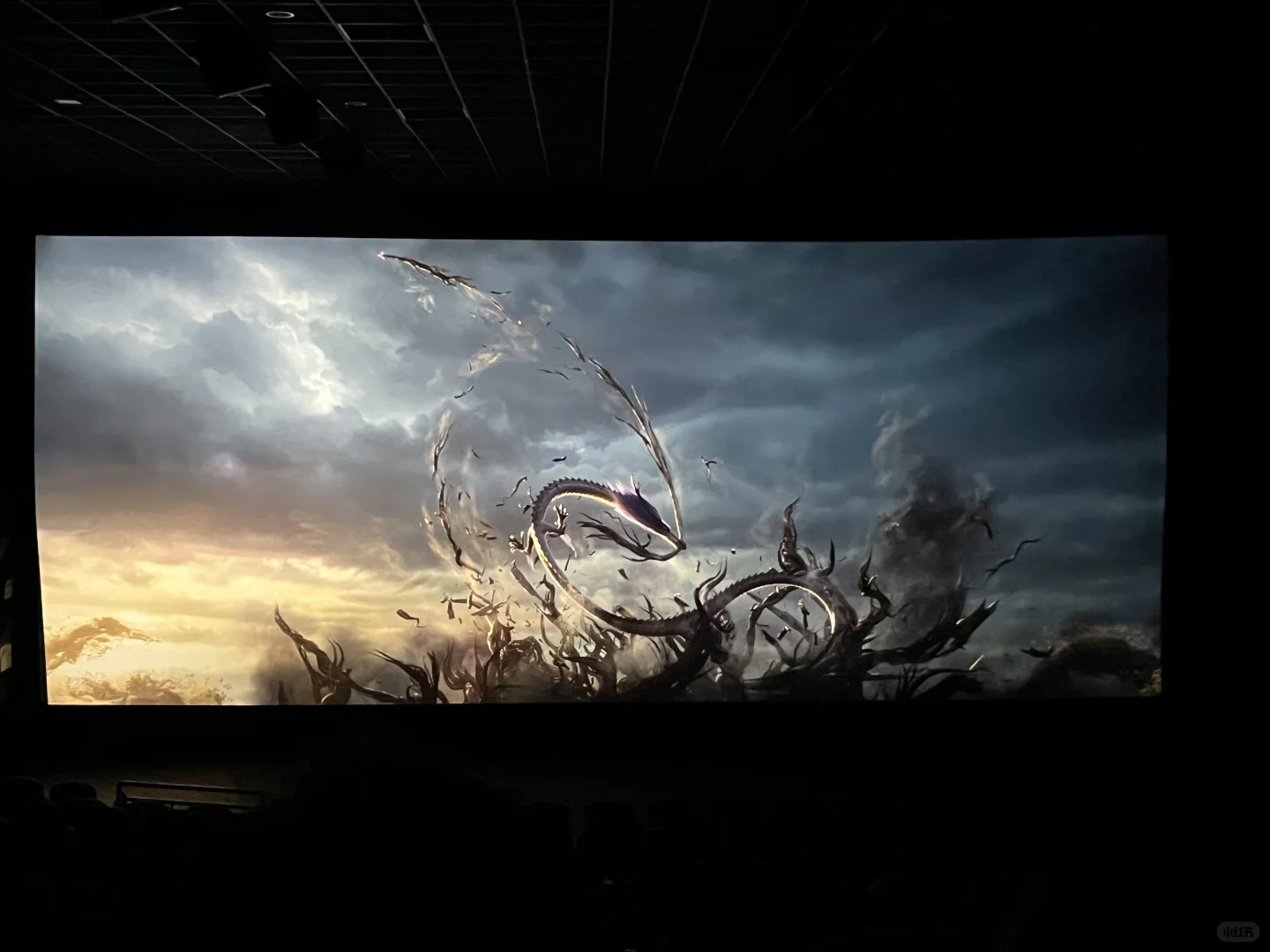 今年看过最好看的一部电影🎞️