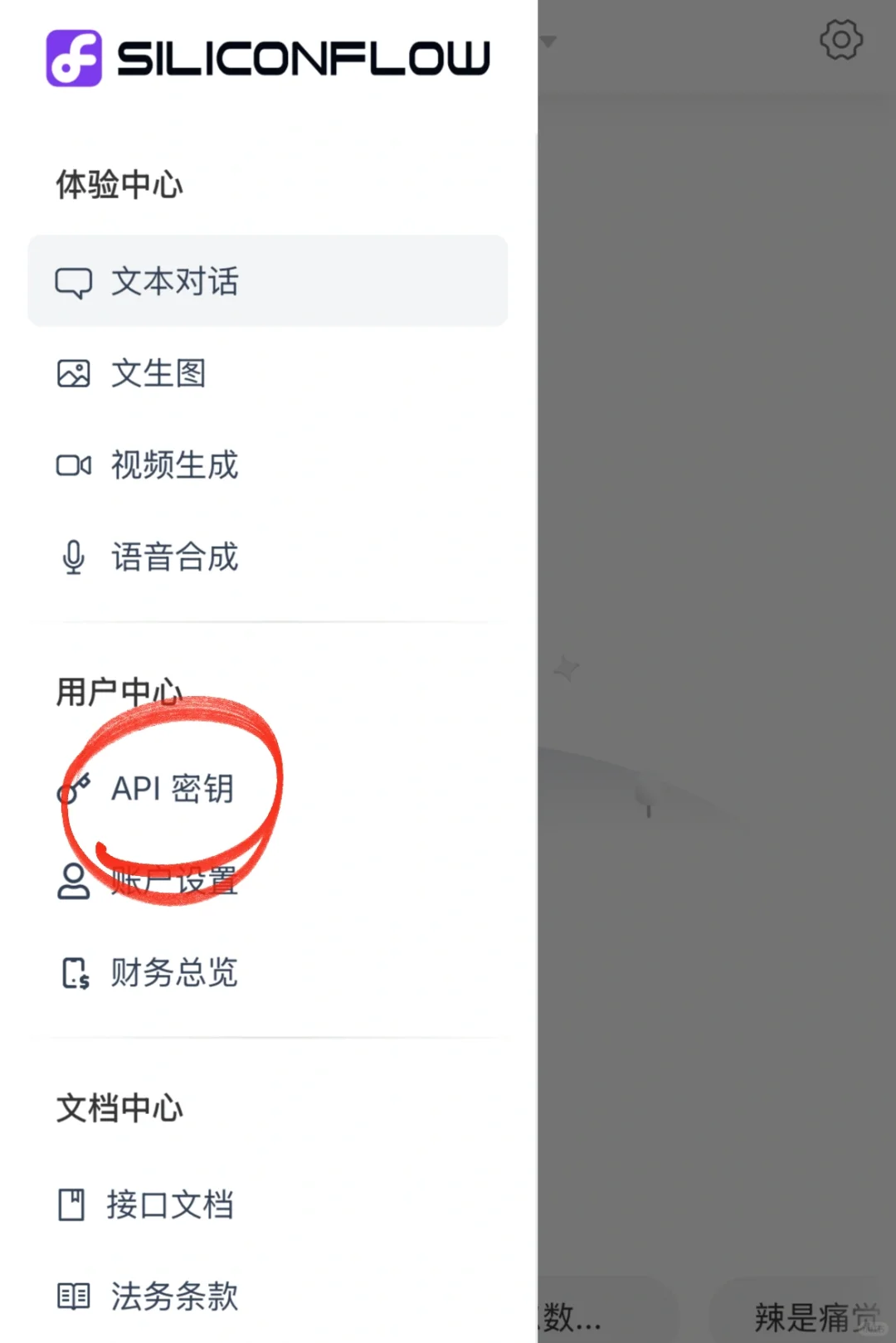 3分钟上手！硅基流动上线deepseek模型