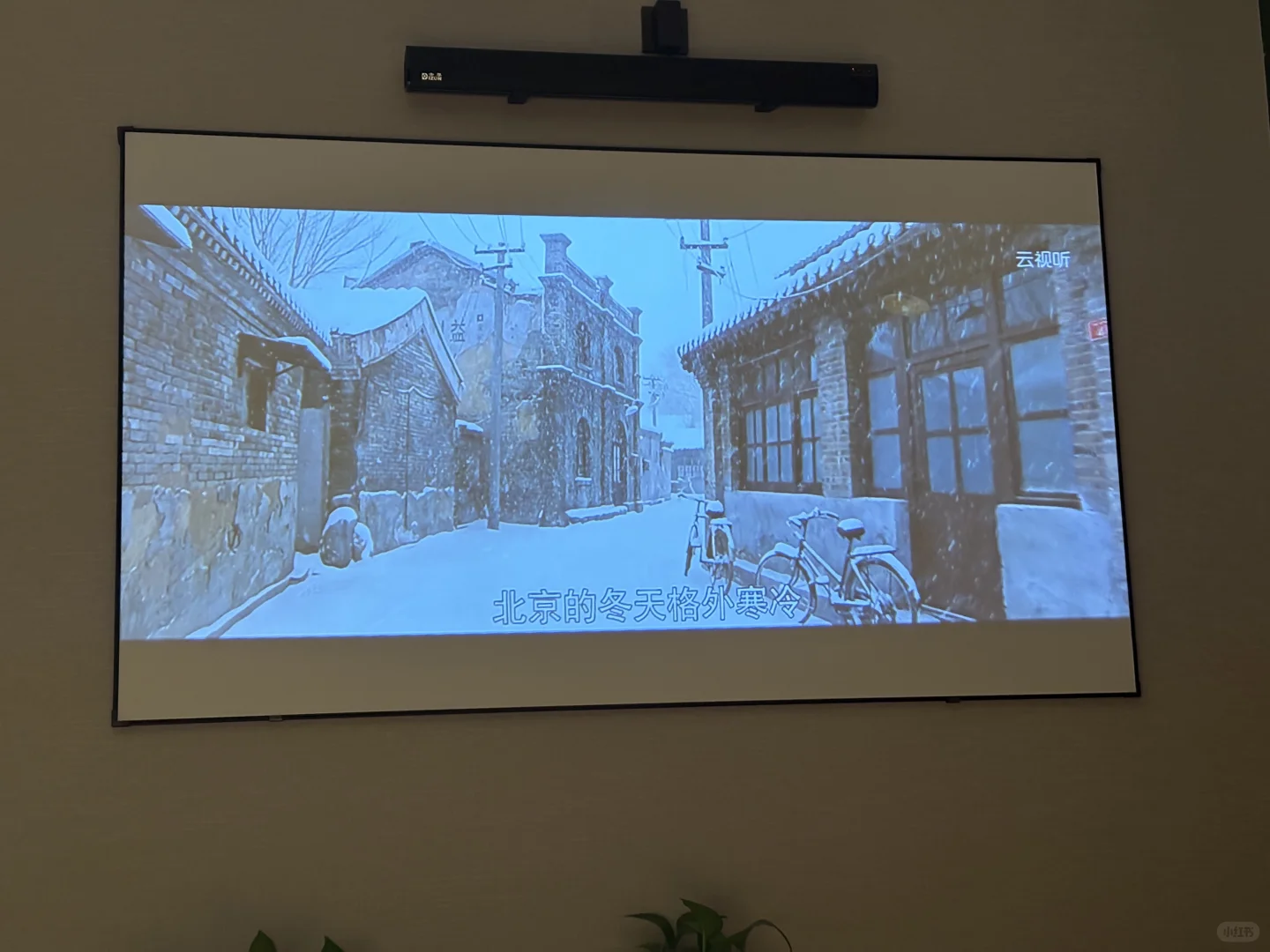 你总是销声匿迹 社交软件永远不更新