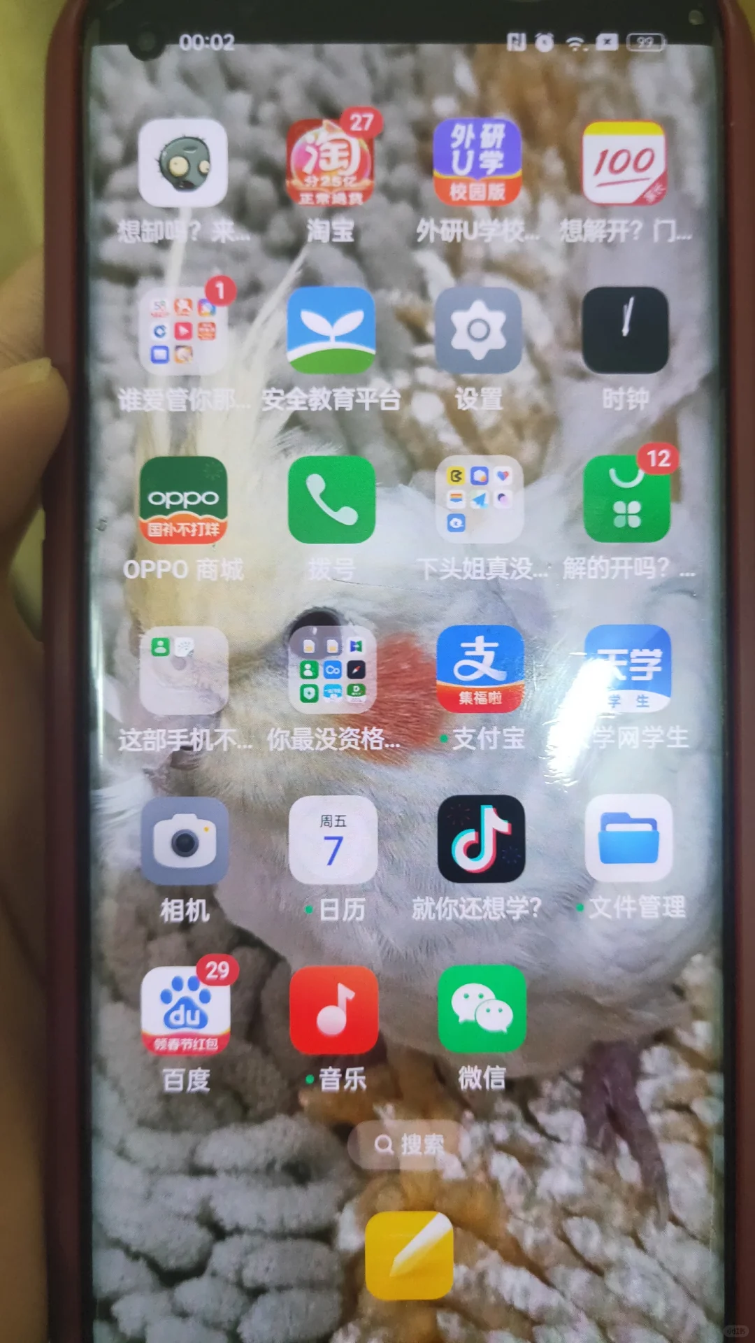 叛逆期的弟弟在手机软件名上骂我