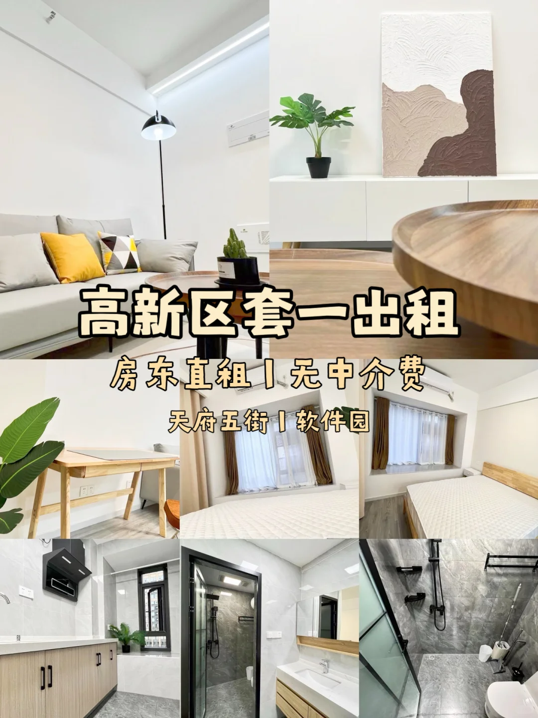 无中介费📍高新区天府三五街软件园丨套一