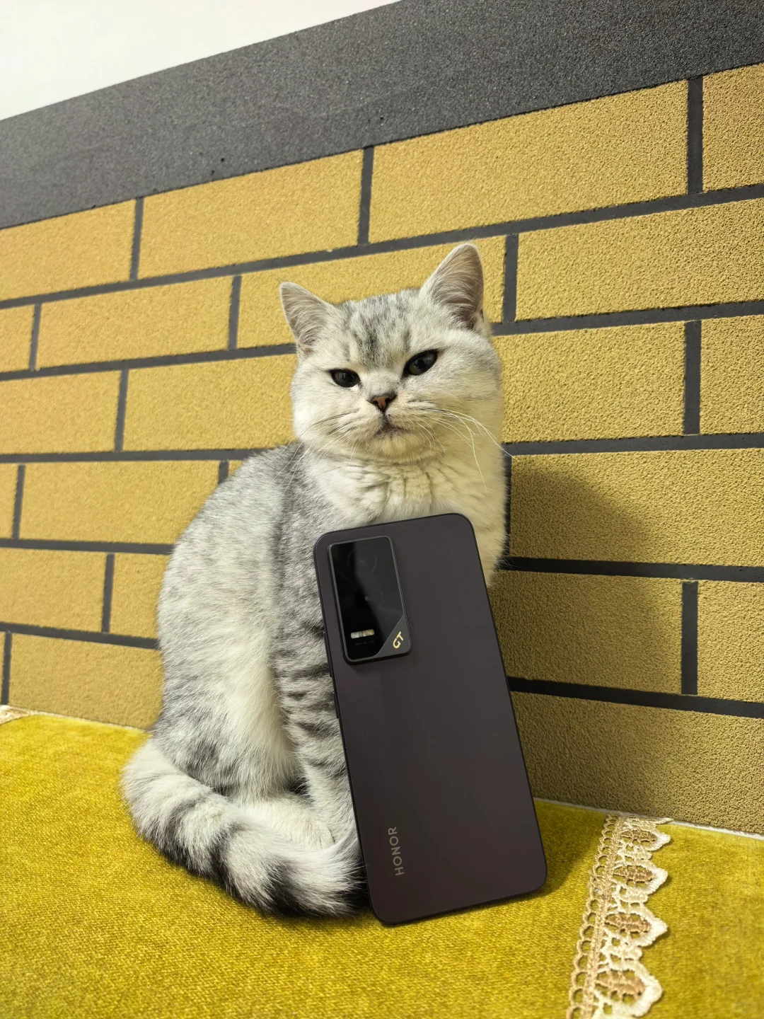 2025第一部电影是荣耀请的