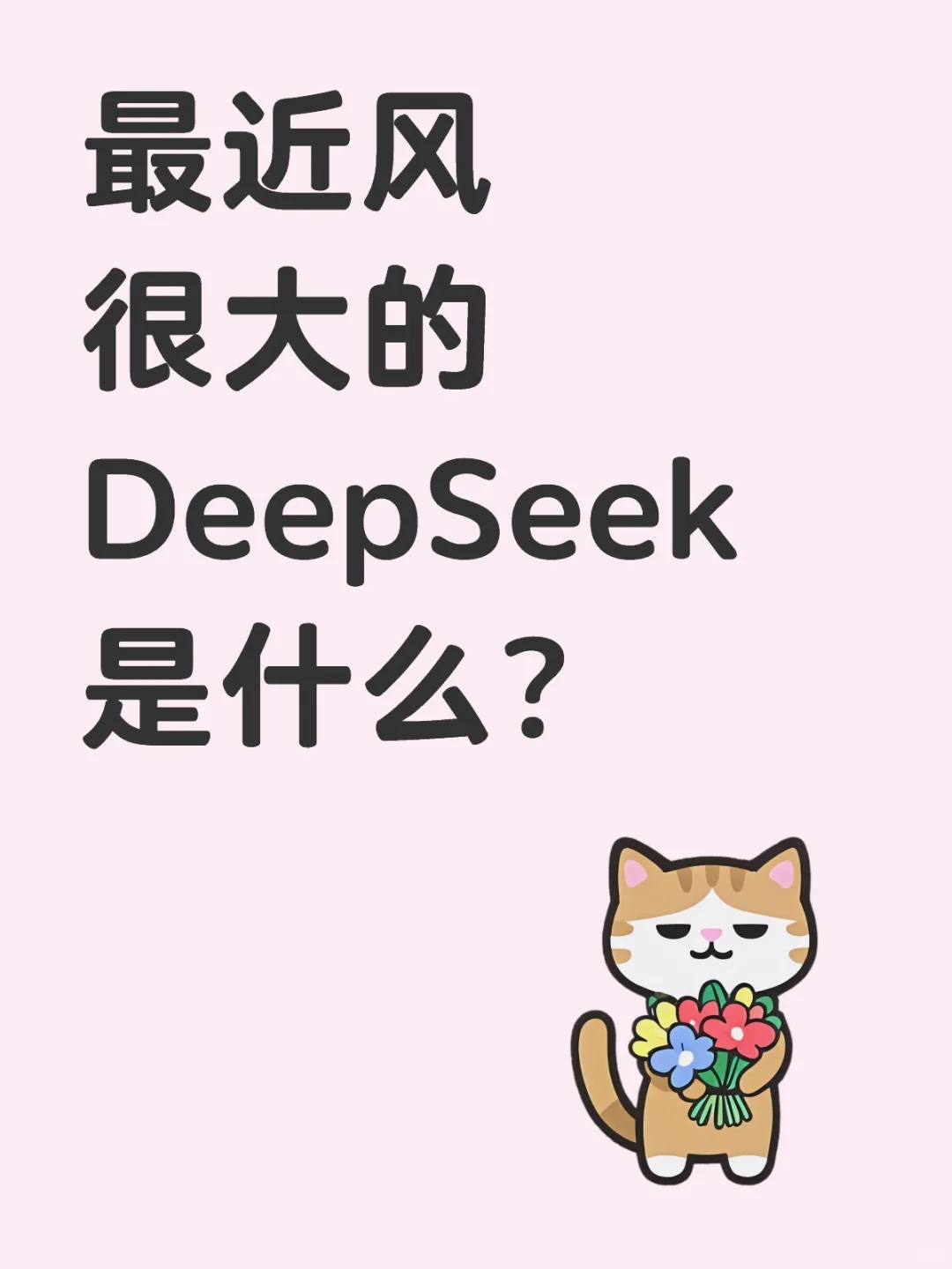 DeepSeek是什么?