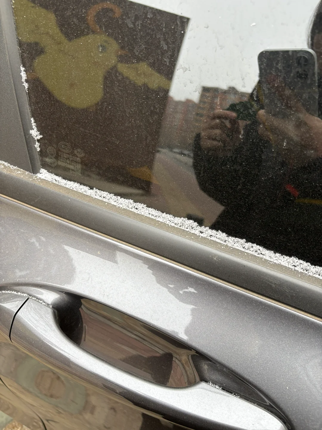 你总是销声匿迹 社交软件永远不更新