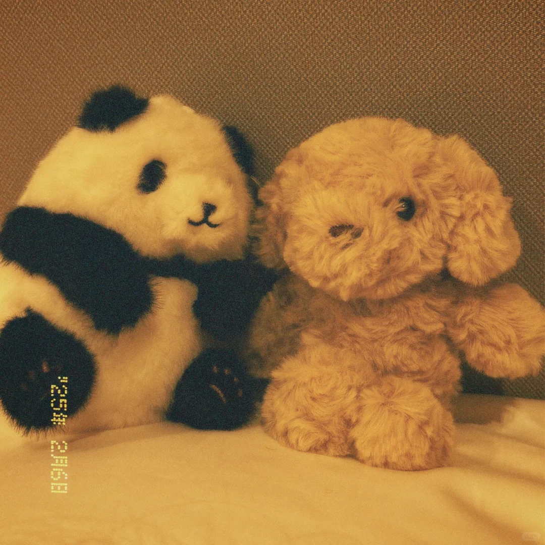 这个拍照软件不错