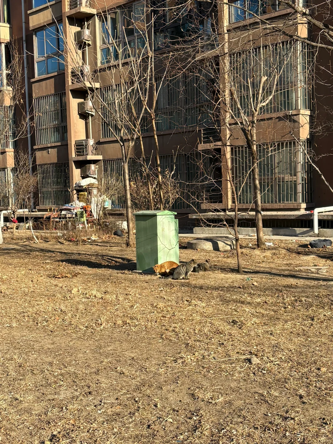 你总是销声匿迹 社交软件永远不更新