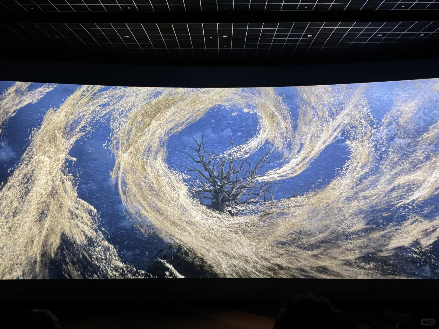 二刷哪吒二强推imax 2d！每一帧都是绝美实况