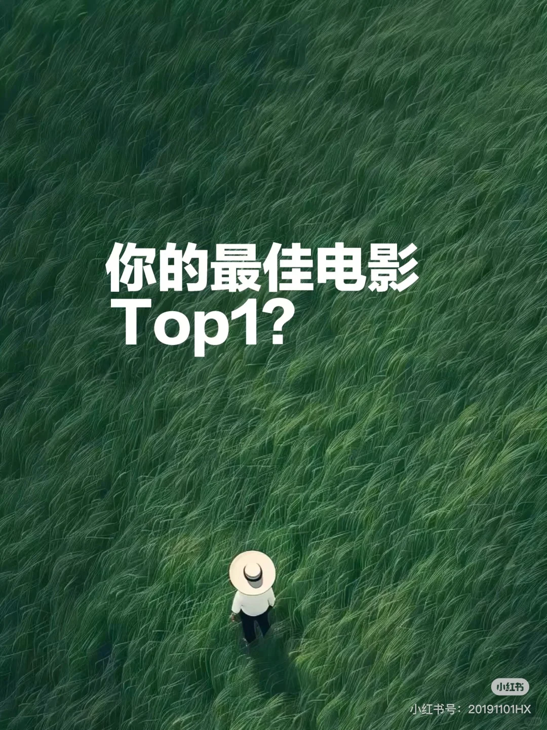 求推荐悬疑类电影