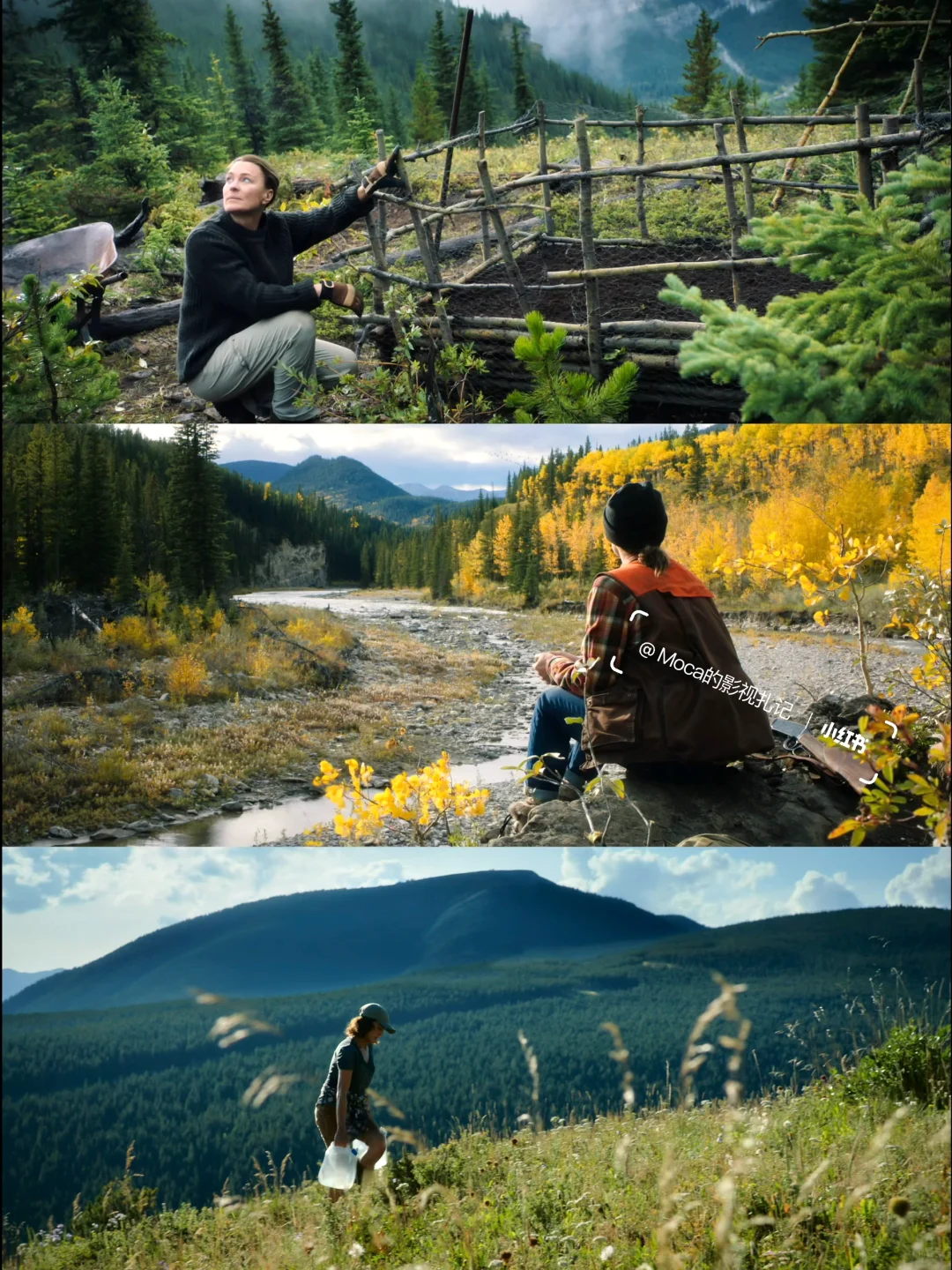 生活一团糟时感谢这部电影拯救了我😭