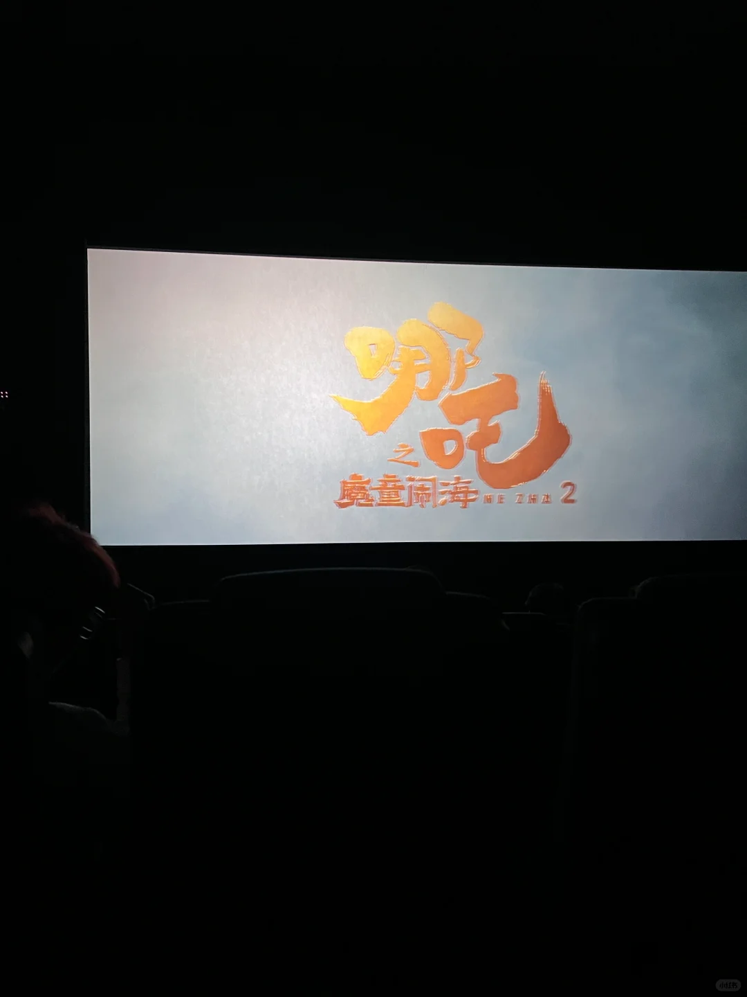 带孩子看了贺岁档<哪吒2之魔童闹海 >超燃！”></p>
<p style=