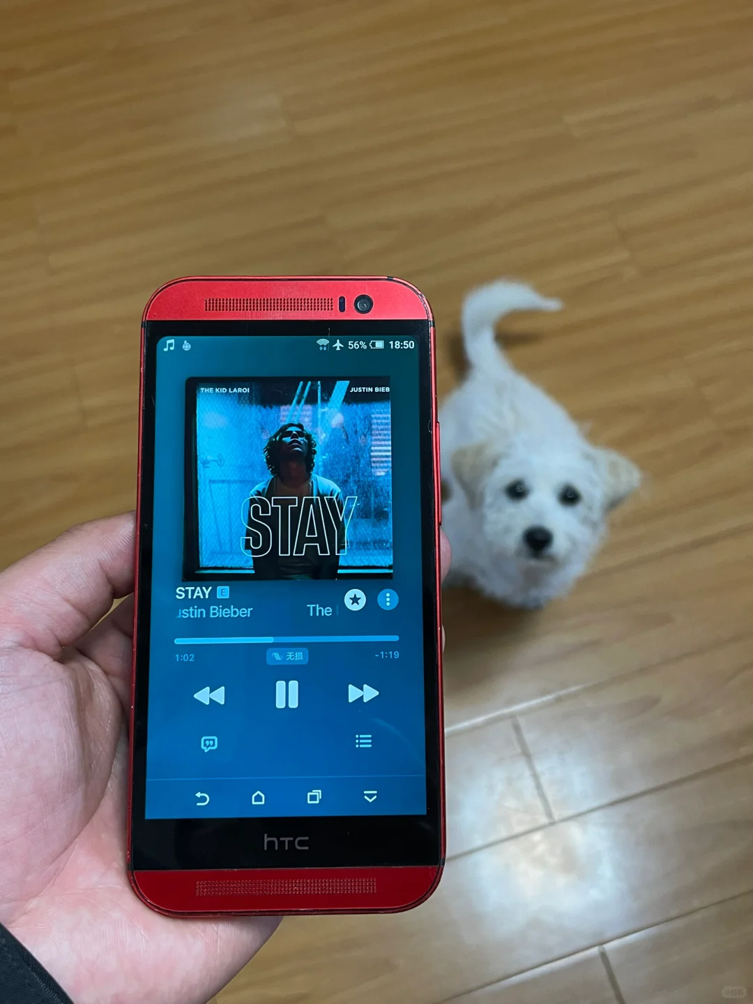 安卓端最好的音乐播放器