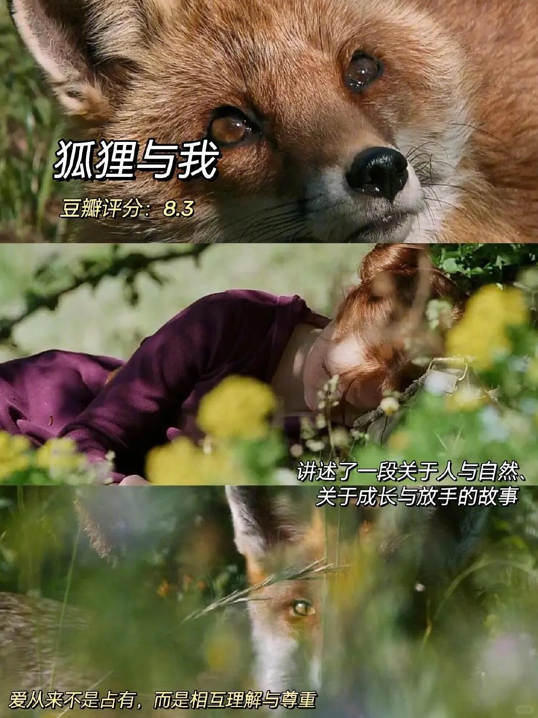 infp必看‼️感谢这十部电影治愈我的精神内耗