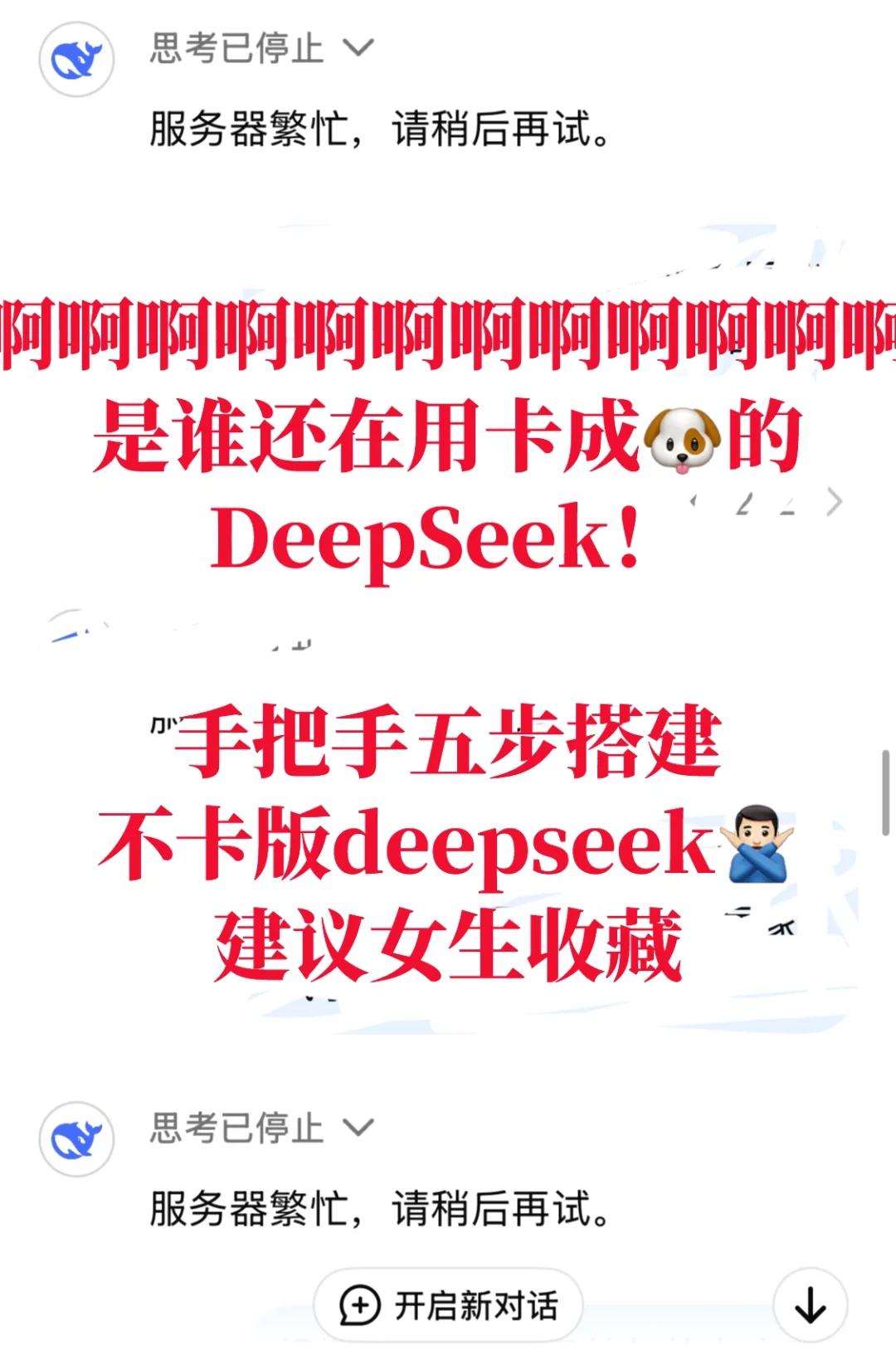 女生有手就会！5步搭建不卡顿专属deepseek
