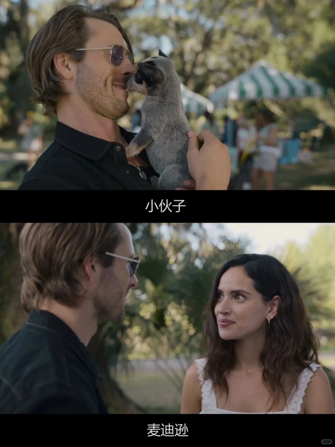 Netflix新片💥结局惊天反转😱